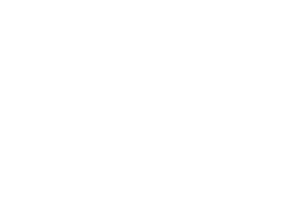 logo png blanc toutenlingerie.fr